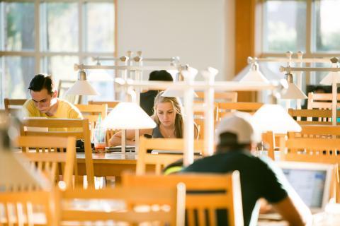 students working in library