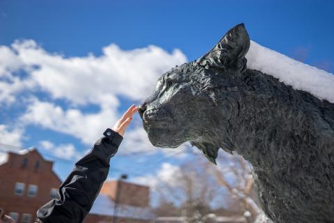 Student touching the nose of the wildcat statue