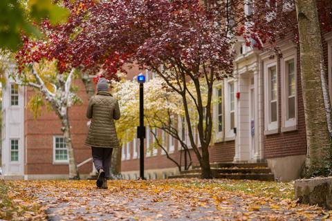 Student walking on campus in the Fall season with a blue safety light on a pole nearby