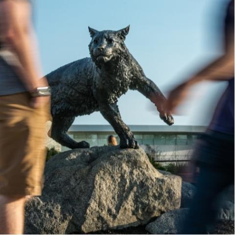 Wildcat statue on UNH Durham campus