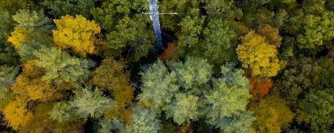Aerial of Woods in the fall