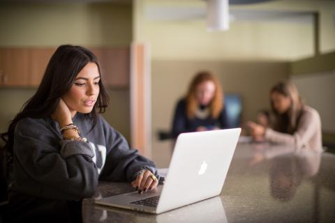 Student sitting at a table looking at their laptop
