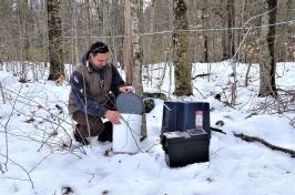 Researcher David Moore collecting sap from beech trees in a forested area. 雪覆盖着大地. 大卫蹲在一个水桶旁边.