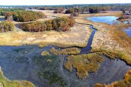 Aerial image of a marsh along the seacoast of New Hampshire. 